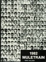 Muleshoe High School 1982 yearbook cover photo