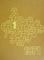 Chelmsford High School 1971 yearbook cover photo