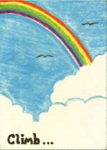 Adair High School 1984 yearbook cover photo