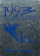 1993 Bowdle High School Yearbook from Bowdle, South Dakota cover image