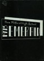 New Milford High School 1975 yearbook cover photo