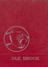 1981 Brookhaven High School Yearbook from Brookhaven, Mississippi cover image