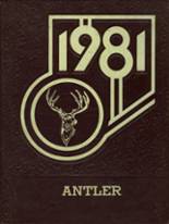 1981 Elkton High School Yearbook from Elkton, Maryland cover image