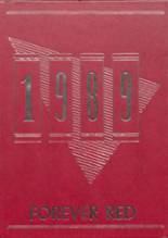 Litchfield High School 1989 yearbook cover photo
