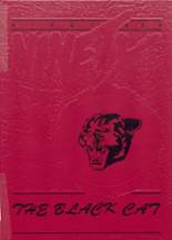 Herculaneum High School 1990 yearbook cover photo