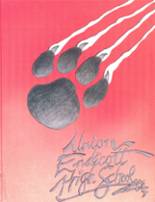Union-Endicott High School 1993 yearbook cover photo