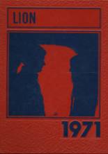 Minneapolis High School 1971 yearbook cover photo