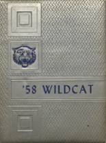 1958 Sweetwater High School Yearbook from Sweetwater, Tennessee cover image