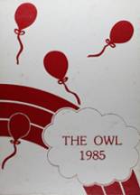 Ooltewah High School 1985 yearbook cover photo