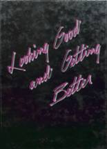 Scott High School 1987 yearbook cover photo