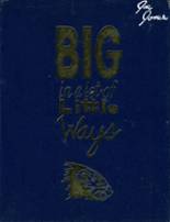 1997 Algonac High School Yearbook from Algonac, Michigan cover image