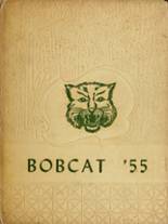 Bloomington High School 1955 yearbook cover photo