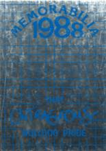 Addison High School 1988 yearbook cover photo
