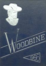 James Wood High School 1966 yearbook cover photo