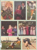 Deckerville High School 1981 yearbook cover photo