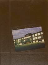 Williams High School 1989 yearbook cover photo