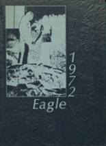 Stephen F. Austin High School 1972 yearbook cover photo