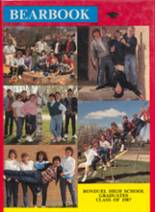 Bonduel High School 1987 yearbook cover photo