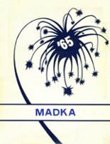 Madison Central School 1965 yearbook cover photo