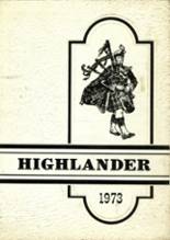 Dundee High School 1973 yearbook cover photo