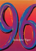 Bokoshe High School 1996 yearbook cover photo