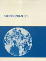 North Branch High School 1973 yearbook cover photo