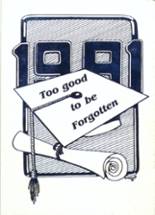 Hoosick Falls High School 1991 yearbook cover photo