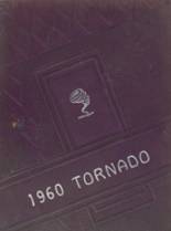 Zeigler-Royalton High School 1960 yearbook cover photo