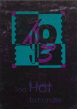 1993 Mediapolis High School Yearbook from Mediapolis, Iowa cover image