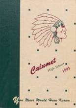 Calumet High School 1993 yearbook cover photo