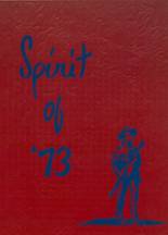 Southwest High School 1973 yearbook cover photo