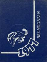 North Branch High School 1977 yearbook cover photo