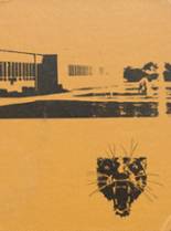 Hudson High School 1978 yearbook cover photo
