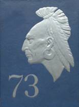 1973 Irwin County High School Yearbook from Ocilla, Georgia cover image