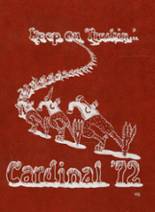 1972 Santa Cruz High School Yearbook from Santa cruz, California cover image