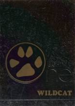 1981 New London-Spicer High School Yearbook from New london, Minnesota cover image