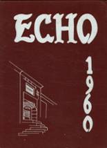 1960 Canton High School Yearbook from Canton, Connecticut cover image