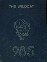 1985 Mt. Enterprise High School Yearbook from Mt. enterprise, Texas cover image