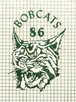 Burley High School 1986 yearbook cover photo