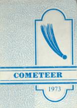 1973 West Liberty High School Yearbook from West liberty, Iowa cover image