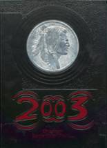 2003 Badger High School Yearbook from Kinsman, Ohio cover image
