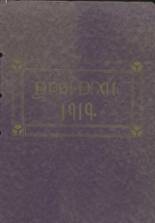 1919 Ypsilanti High School Yearbook from Ypsilanti, Michigan cover image