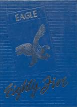 Ector High School 1985 yearbook cover photo