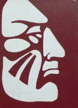 Newton High School 1980 yearbook cover photo