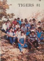 Bokoshe High School 1981 yearbook cover photo