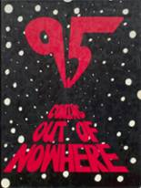 1995 Ainsworth High School Yearbook from Ainsworth, Nebraska cover image