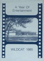 Northwestern High School 1985 yearbook cover photo