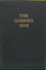 1918 Drumright High School Yearbook from Drumright, Oklahoma cover image