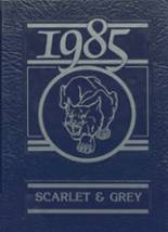 1985 Frankfort High School Yearbook from Frankfort, Kansas cover image