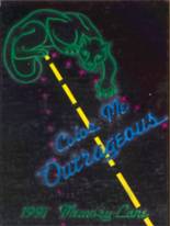 Washington High School 1991 yearbook cover photo